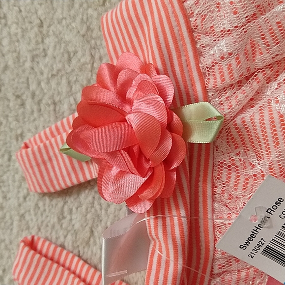 3/$33 NWT 2-pc Sweet Heart Rose Tunic and Capri Leggings 24M - Picture 3 of 10